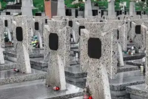 _granits d’origine étrangère (1)