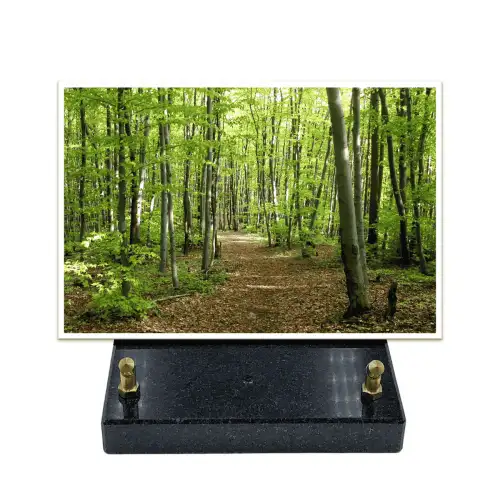 Plaque-funéraire-rectangle-forêt