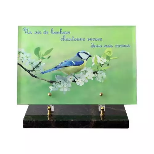 vente de plaque funeraire, plaque funeraire avec photogravure, acheter une plaque funeraire