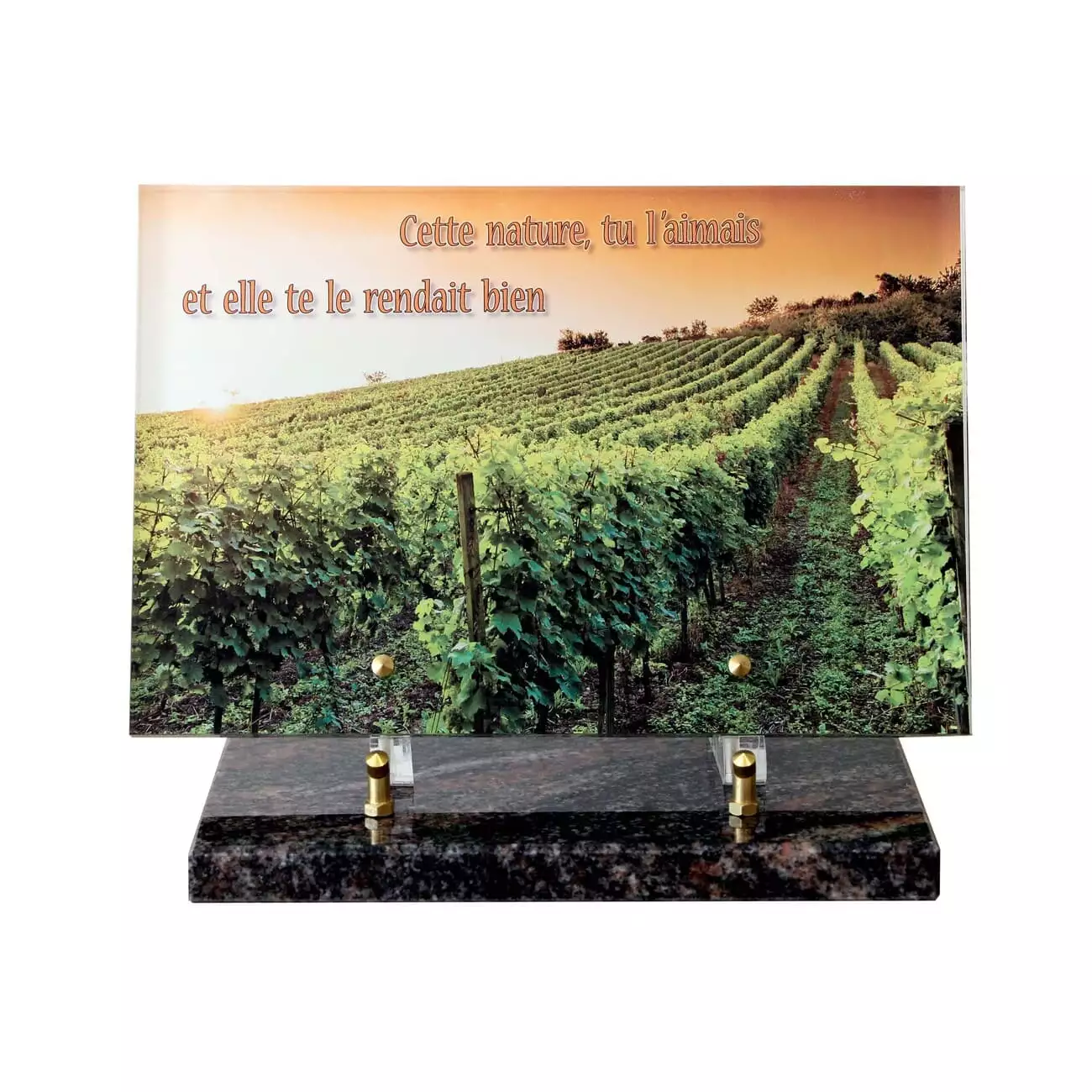 plaque funeraire coeur avec photo, plaque cimetiere photo, plaque funeraire a notre grand pere