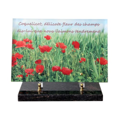 funeglas plaque, plaque cimetiere avec photo, catalogue plaque funeraire