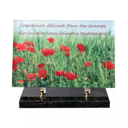 funeglas plaque, plaque cimetiere avec photo, catalogue plaque funeraire