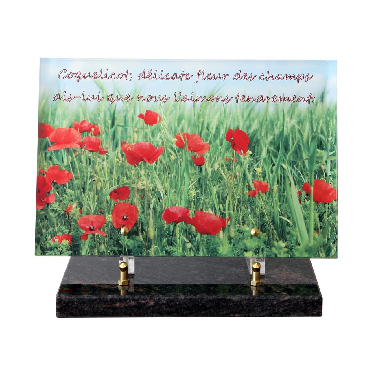 funeglas plaque, plaque cimetiere avec photo, catalogue plaque funeraire