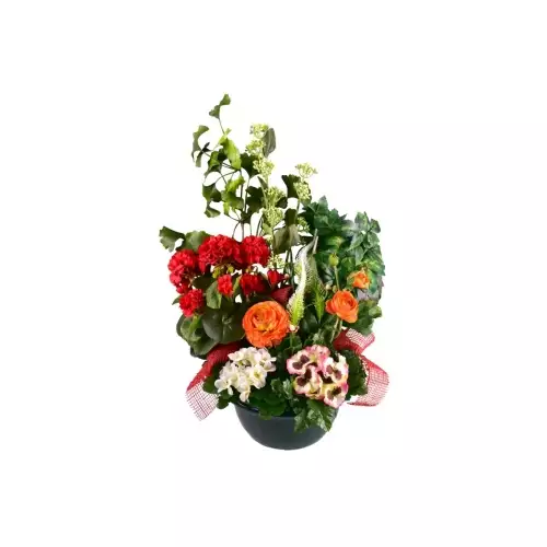 coupes-funeraire-25 (2)