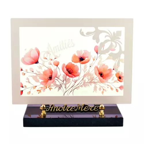 Plaque funéraire cadre inox blanc