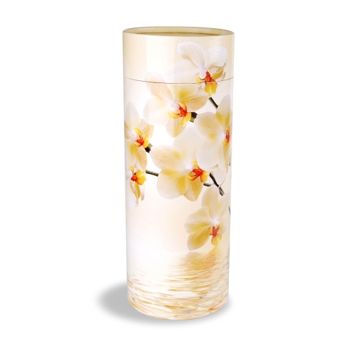 Urne-funéraire-carton-5